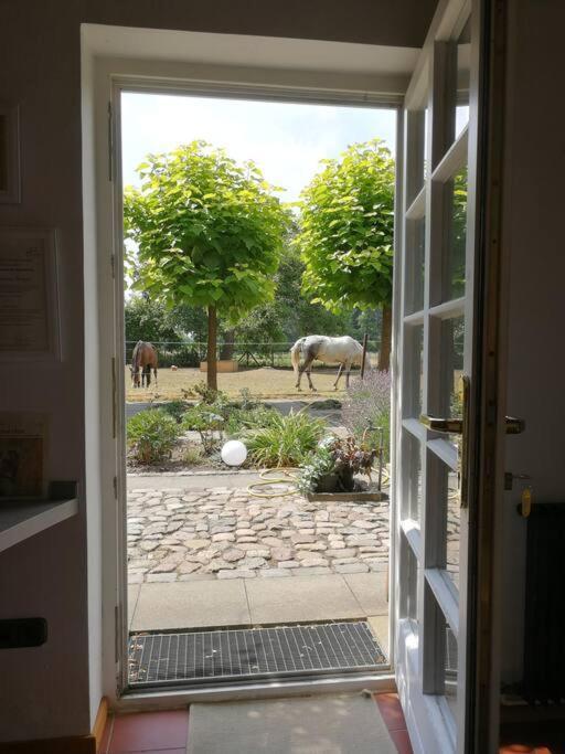 Xanadi Heilehaus Kleine Auszeit Kururlaub Apartment Bruchhausen-Vilsen ภายนอก รูปภาพ